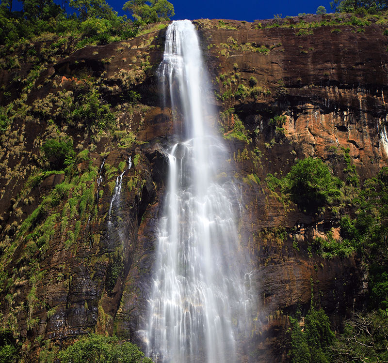 Bambarakanda Falls from a low angle in the mountain, showcasing its full height with surrounding greenery.