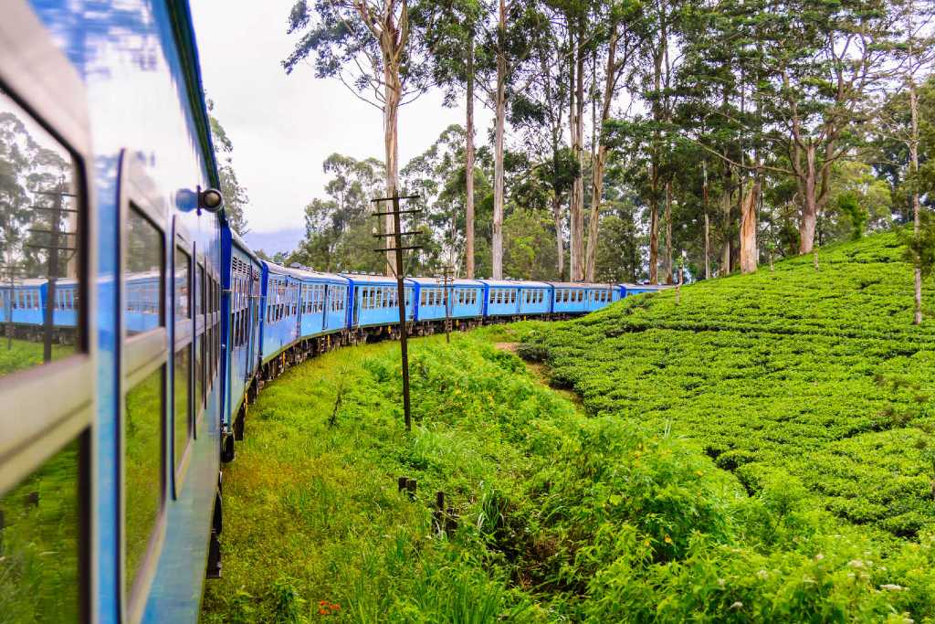 Train ride from Nanu Oya to Haputale with tea plantations.