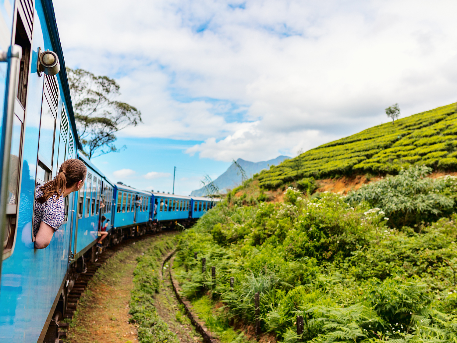 Scenic Train Rides in Sri Lanka: Must-Visit Stops